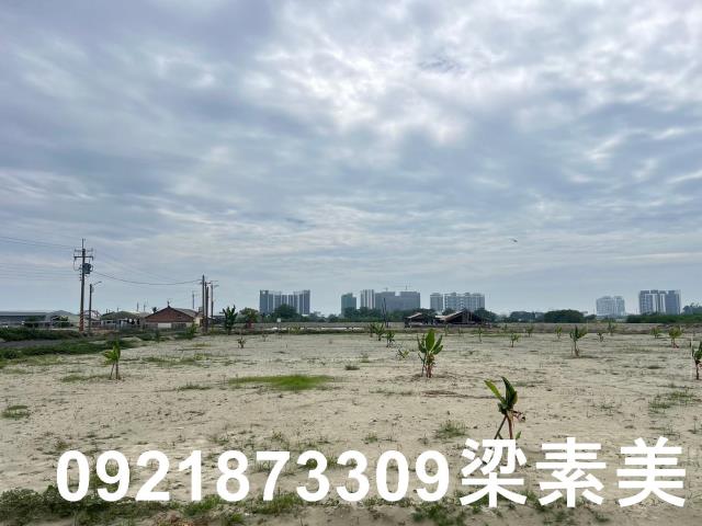 仁德農地-4
