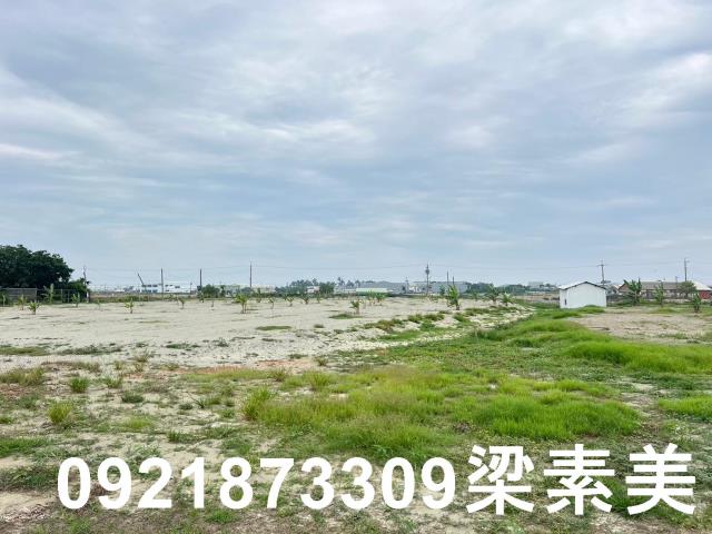 台南農地-8