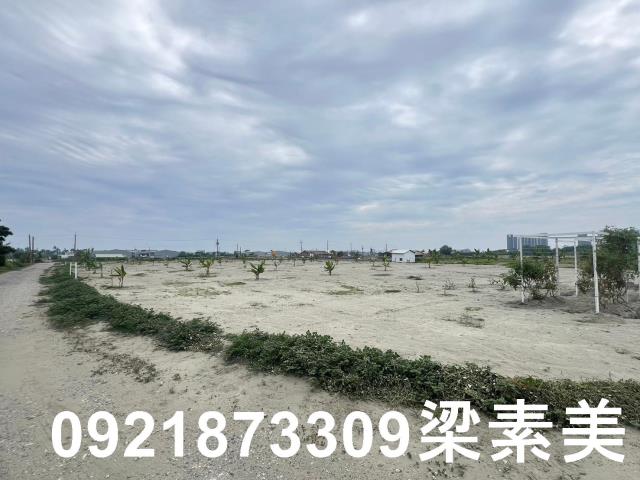 台南農地-5