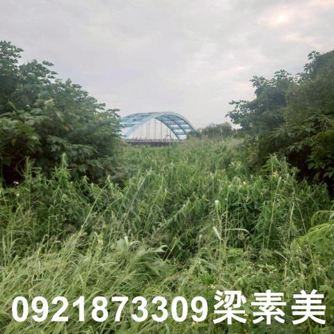 台南學甲農地-1