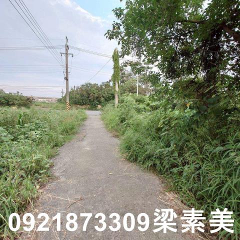 台南學甲農地-2