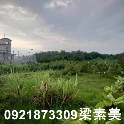 台南學甲農地-3