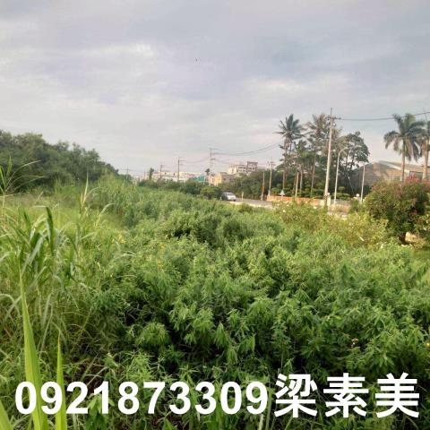 台南學甲農地-6