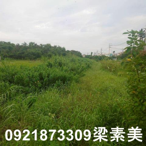台南學甲農地-7
