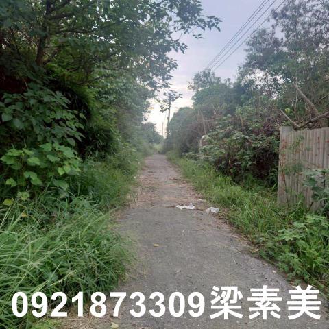 台南學甲農地-8