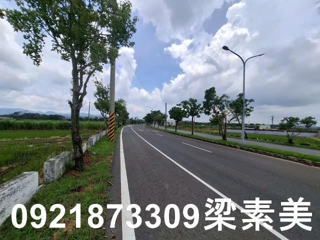 柳營農地-3