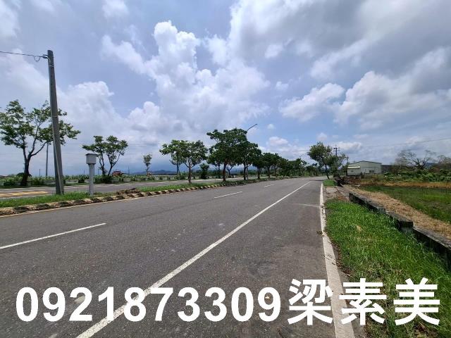 柳營農地-7
