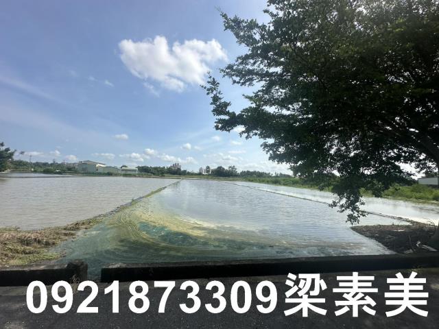 台南新化農地-5