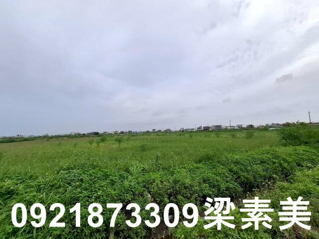 台南七股農地-4