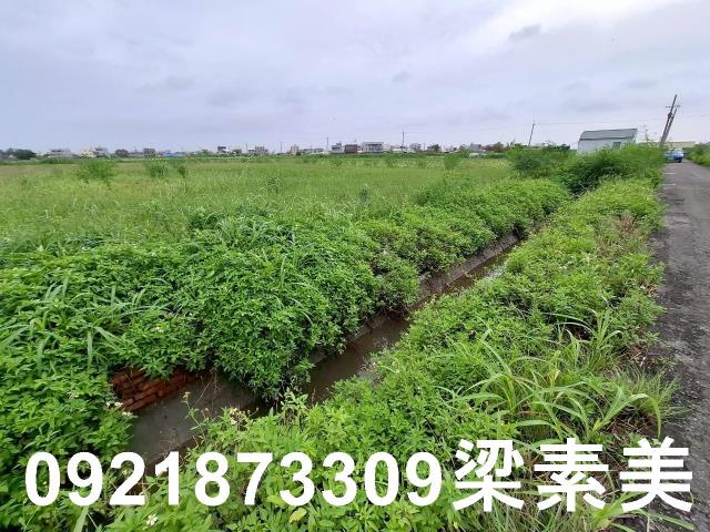 台南七股農地-5