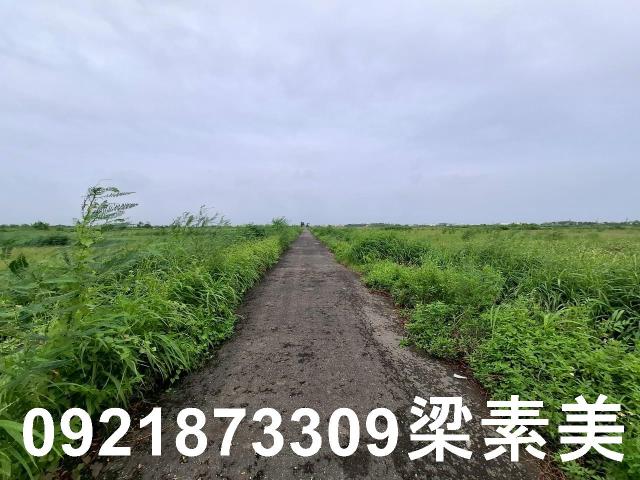 台南七股農地-7