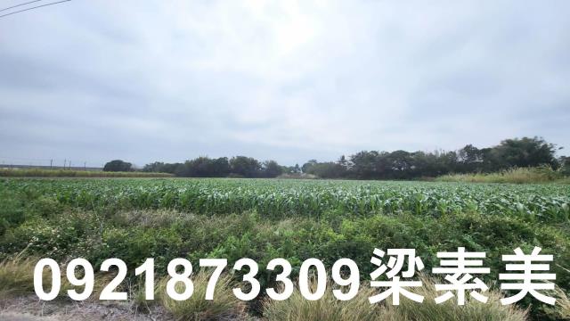 台南善化農地-0