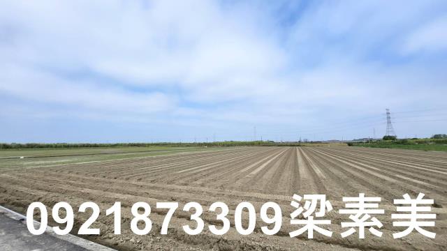 台南善化農地-3