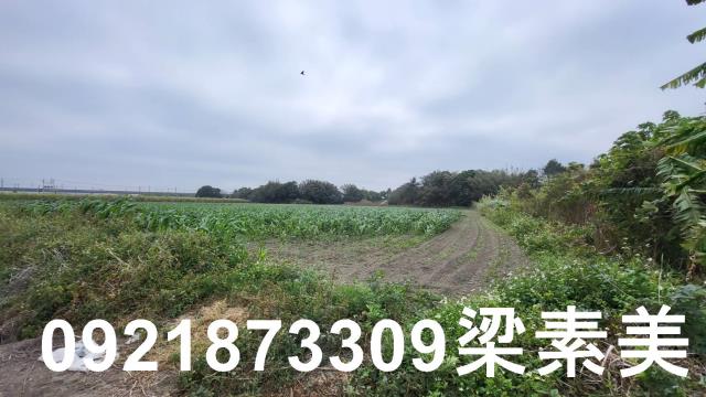 台南善化農地-4
