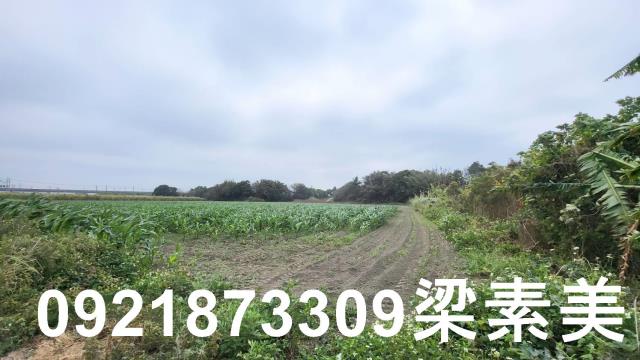 台南善化農地-5