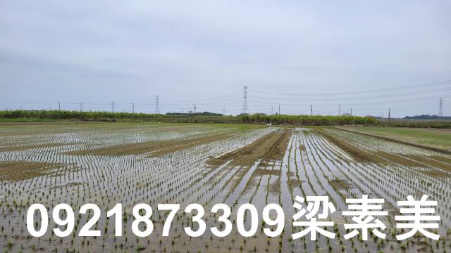 台南善化農地-6