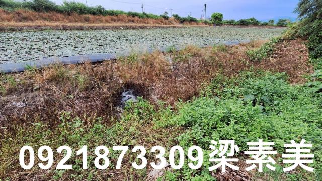 台南官田農地-9
