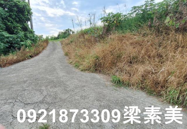 台南官田農地-5