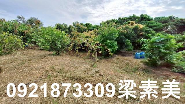 台南官田農地-6