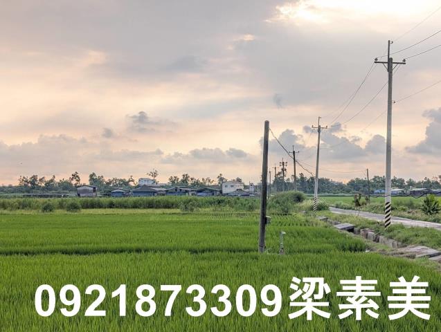 台南白河農地-0