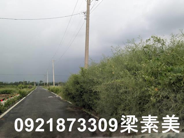 台南白河農地-12