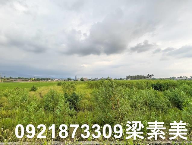 台南白河農地-1