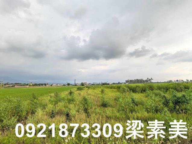 台南白河農地-2