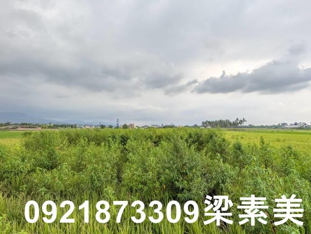 台南白河農地-3