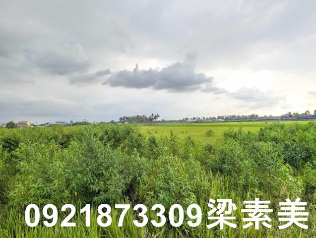 台南白河農地-4