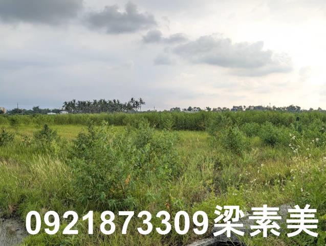 台南白河農地-5
