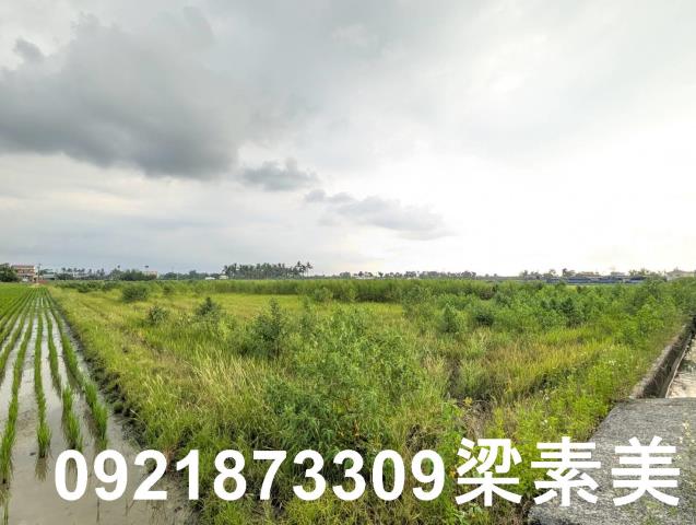 台南白河農地-6