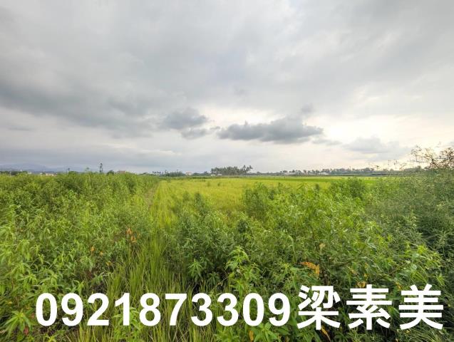 台南白河農地-7