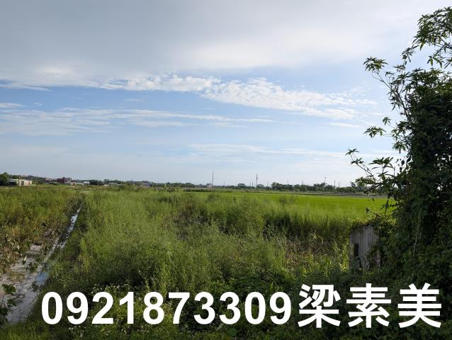 台南白河農地-9