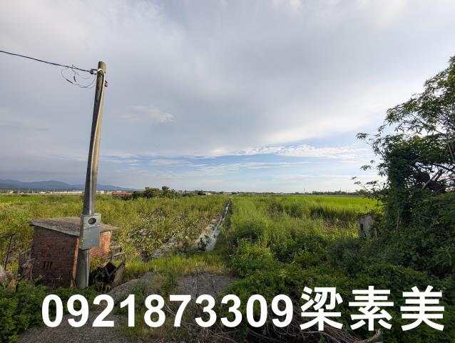 台南白河農地-1