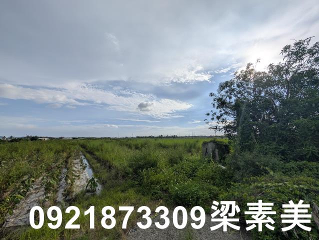 台南白河農地-5