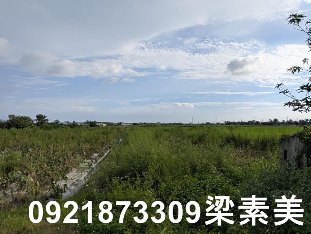 台南白河農地-6