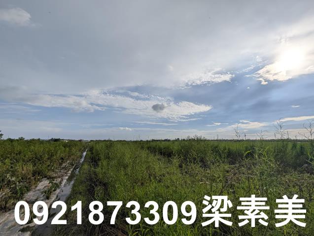 台南白河農地-8