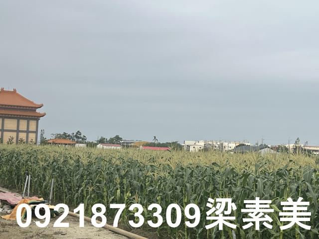 台南農地-5