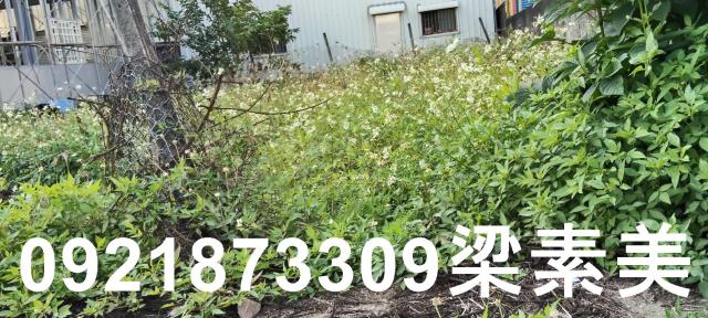 台南六甲建地-2