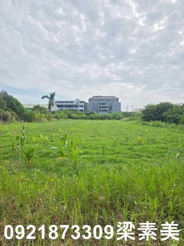 台南永康農地-8