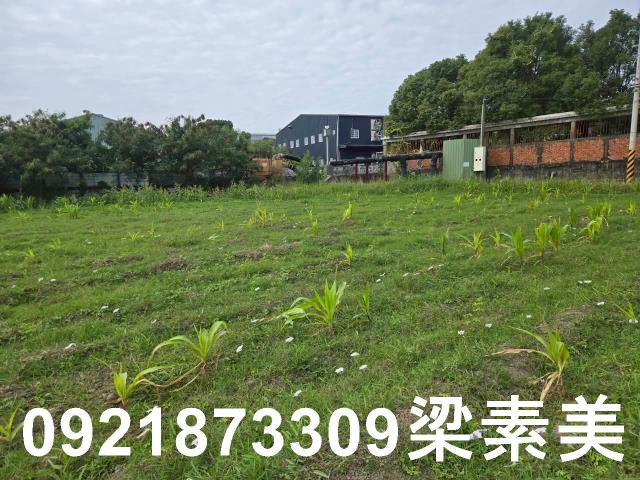 台南永康農地-10