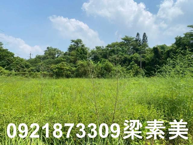 台南關廟農地-0