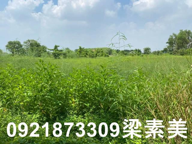 台南關廟農地-1