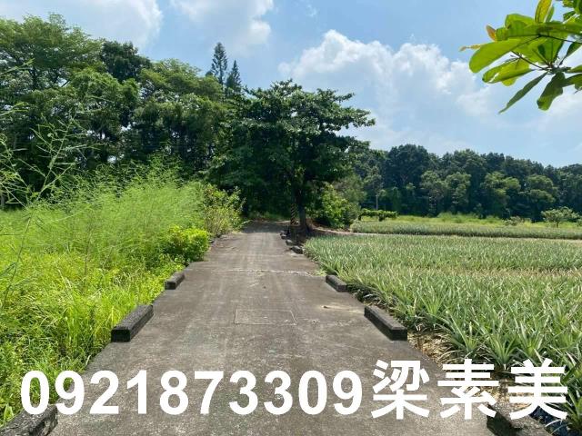 台南關廟農地-7