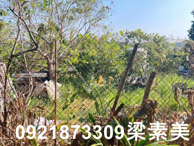 台南仁德農地-1