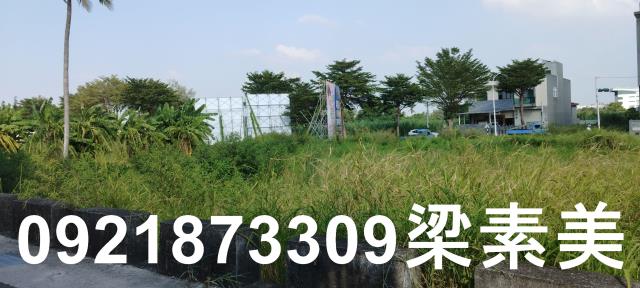 台南仁德農地-11