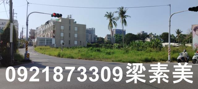 台南仁德農地-0