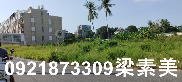 台南仁德農地-4