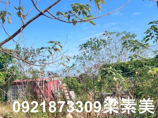 台南仁德農地-0