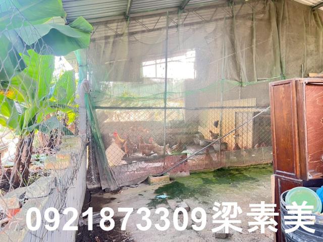 台南仁德農地-8